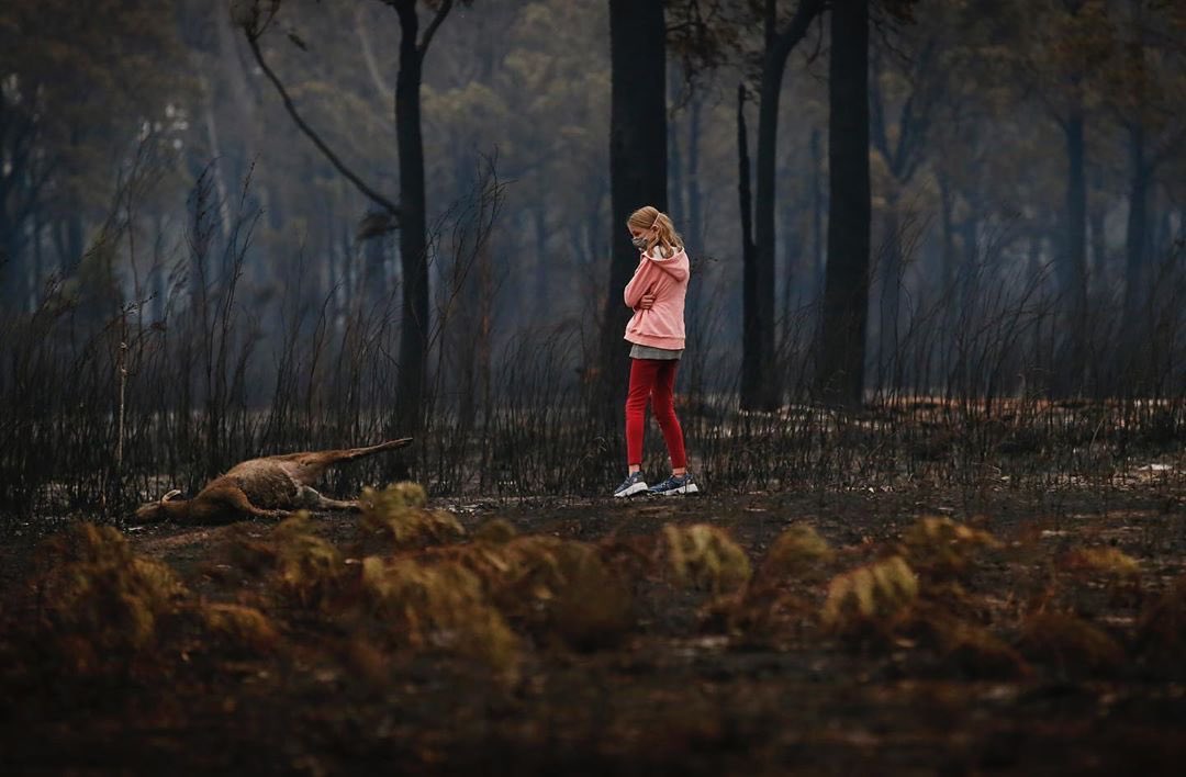 BrotherNature's tweet image. #Repost #HelpAustralia