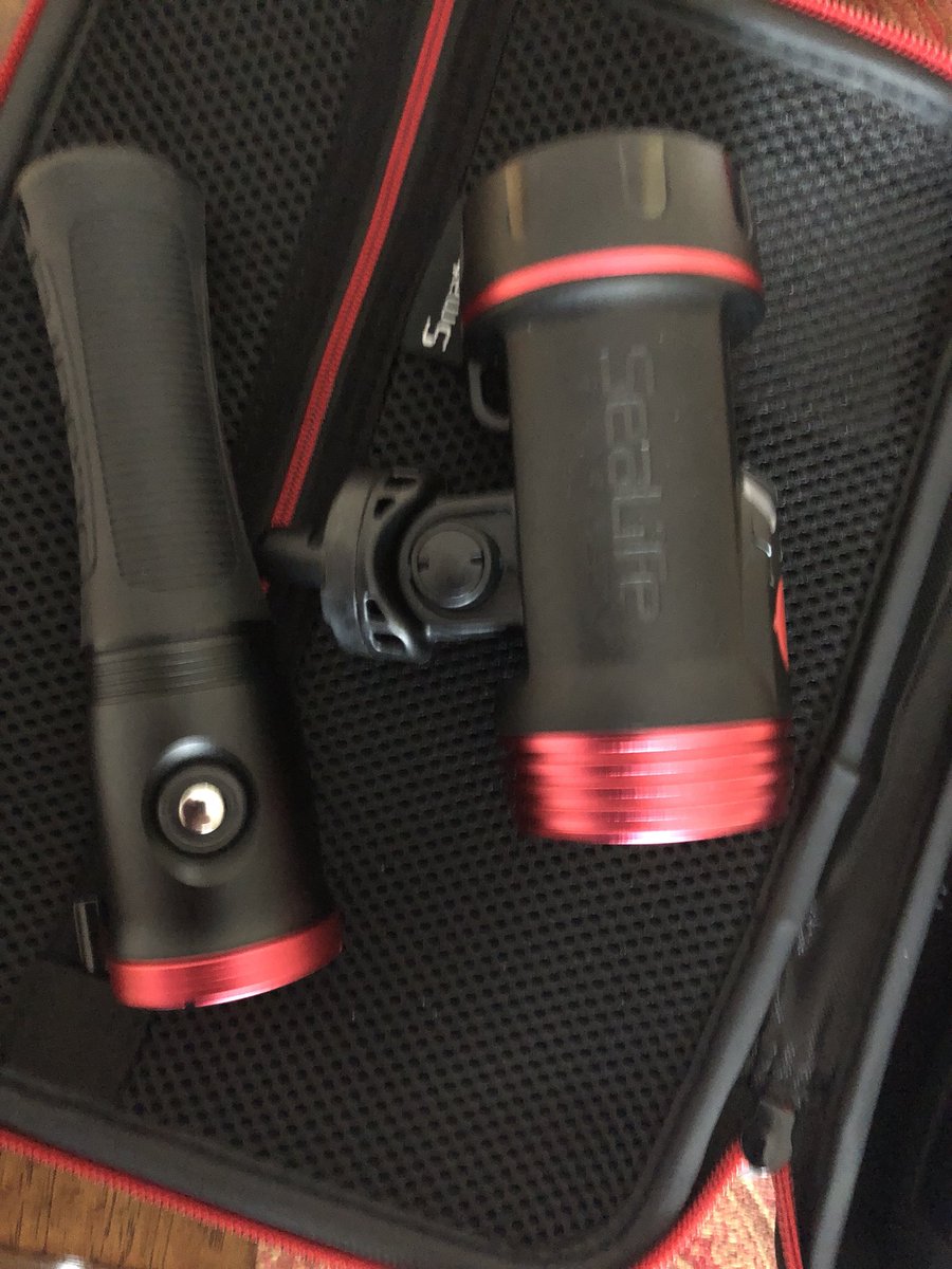kellyed121's tweet photo. Thank you Jason and Michael @DolphinScuba for helping me get set up with the right camera and video rig for #scubadiving! I knew going back to where I was certified was the right step for preparing for the #scubaspa Liveaboard in #Maldives! #sealife #Mares https://t.co/hToqUA5tpC