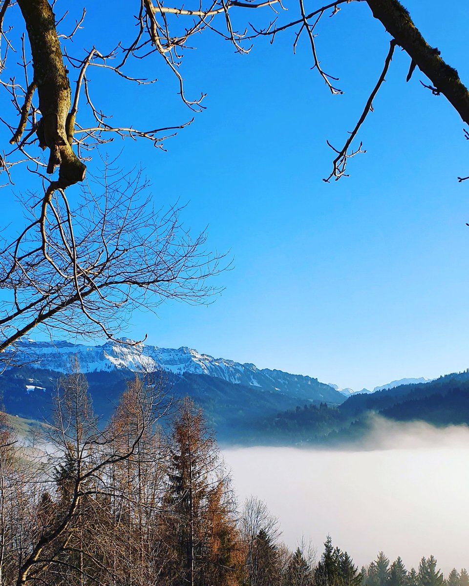 Back in Bernese Oberland!