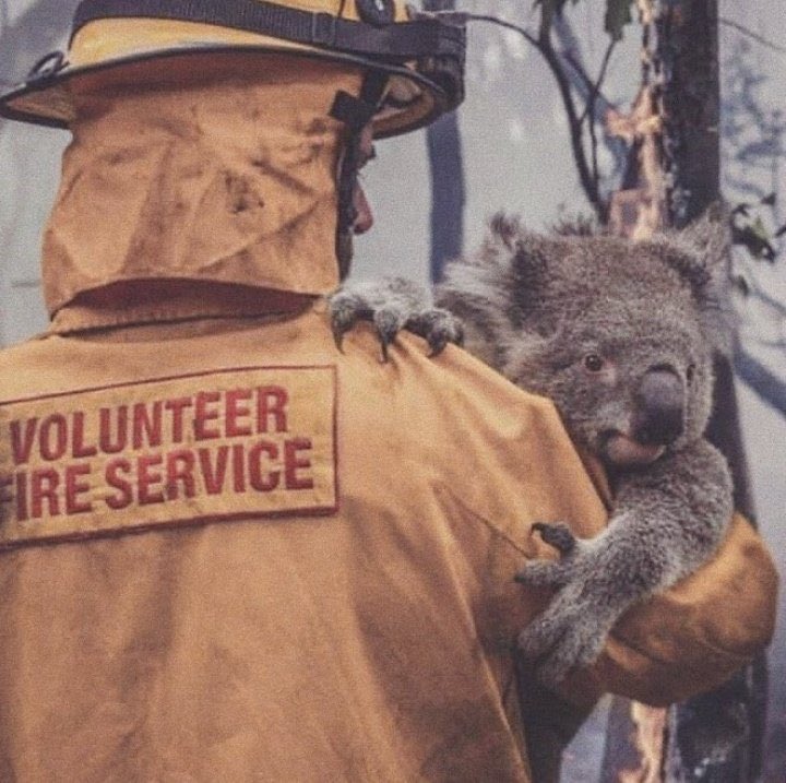Absolutely devastated by the fires in Australia. This breaks my heart so much. So many people are affected and millions of innocent animals are suffering from these horrific fires. Pray for rain in Australia.
🦘 Heartbreaking 

Pray for 🇦🇺 #Australia 🙏🏼

#bushfiresAustralia