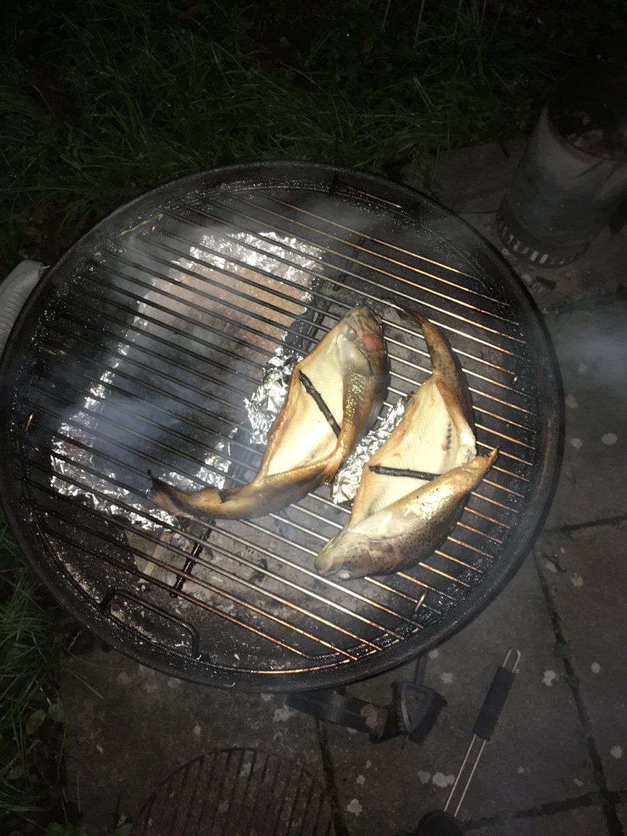 JereWerner tweet media