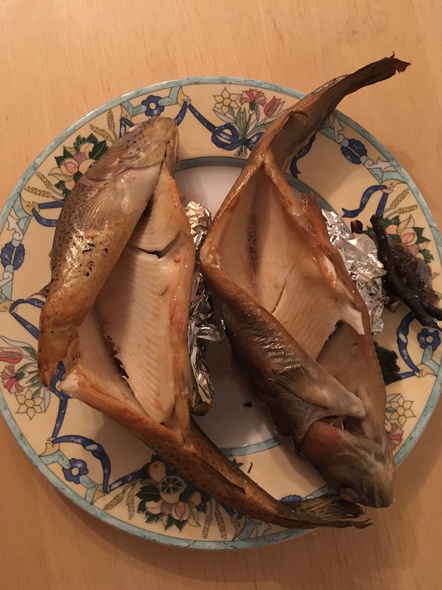 JereWerner tweet media