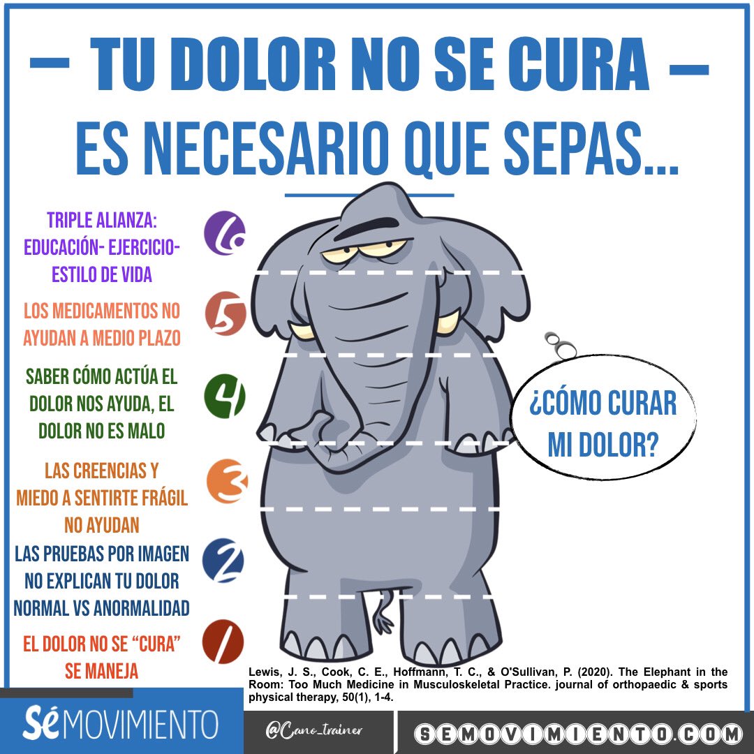 CANO_TRAINER's tweet photo. Empezamos el 2020

Adaptación del excepcional artículo: “ el elefante en la habitación” de @JeremyLewisPT y @PeteOSullivanPT 

My Spanish adaptation of the exceptional article “An elephant in the room”, by @JeremyLewisPT @PeteOSullivanPT

1/2 https://t.co/oEokLG2IHh