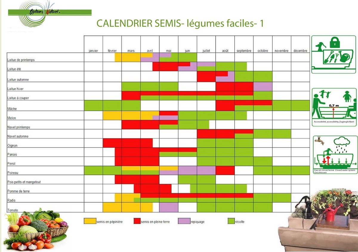 Pour votre "Jardin autonome":  calendrier légumes pour sortir de l'hiver (type nord de la Loire)
option-naturelle.com