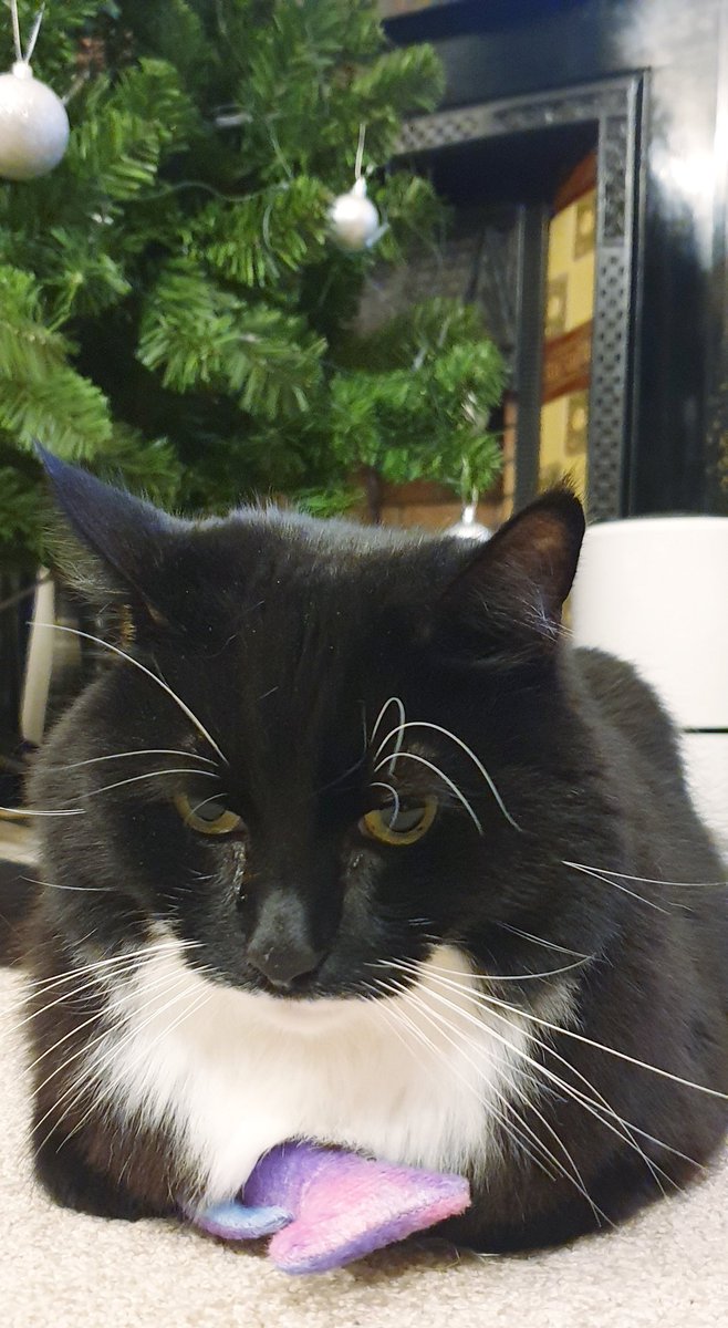 Dr Pete Murray tweet media