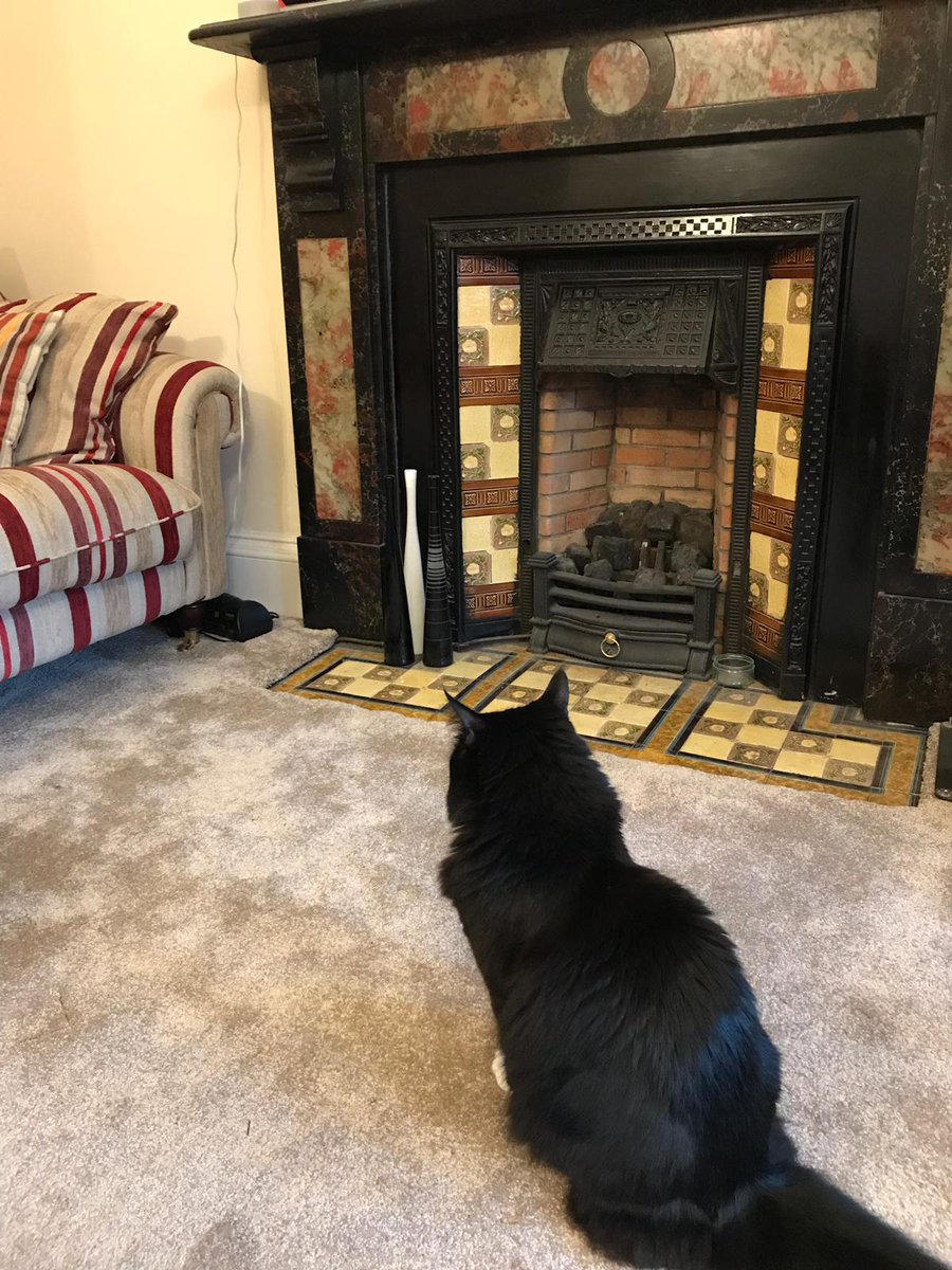 Dr Pete Murray tweet media