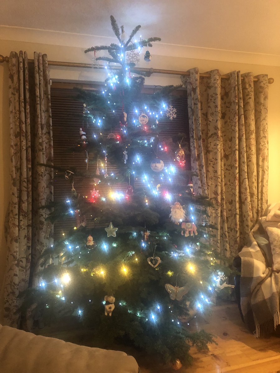 HMcEntee's tweet photo. Unfortunately it’s nearing that time when Christmas trees and decorations must come down ☹️ If you’re wondering what to do with your tree then look no further #recycle @21St_Meath #scouts #Kentstown #Meath (Going up keep mine up for just one more night 😀) https://t.co/iVjWAbpoke