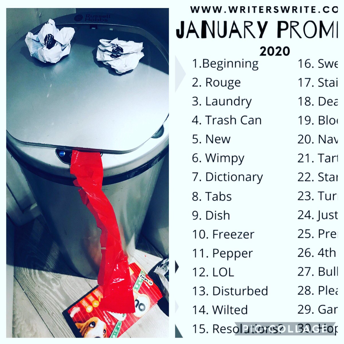WriteSpace2's tweet image. Meet Trash Can... when January Creative Prompt meets January Writing Prompt. #alloftwoseconds #goodmatch #creativeconnections #TheJanuaryChallenge #64millionartists #writespacenortheast