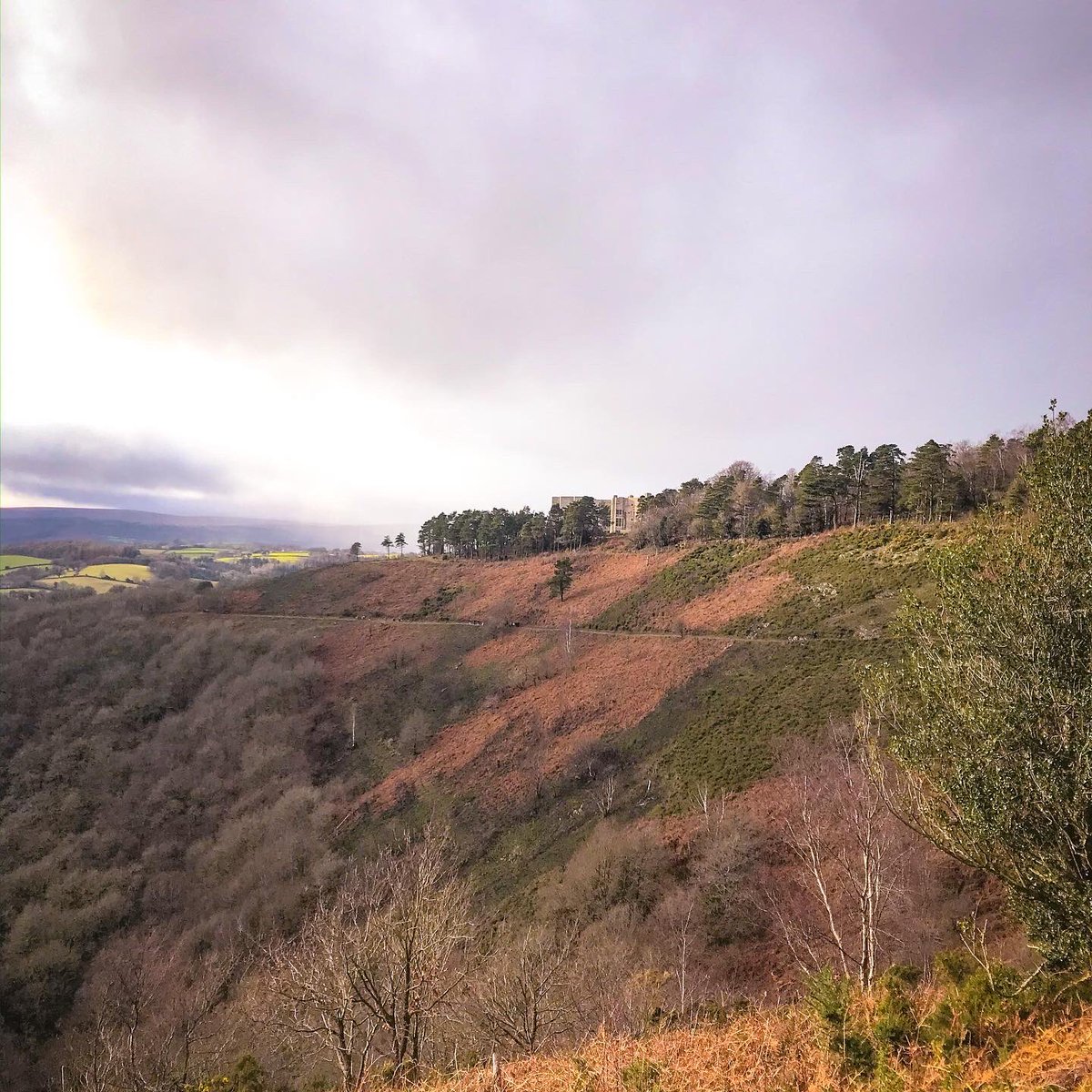 JoPenhaligon's tweet photo. Lovely wander around #FingleWoods on #Dartmoor today. Even caught a glimpse of the stunning @CastleDrogoNT top. A great way to end the Christmas school holidays. #devonatitsbest #dogwalk #Devon https://t.co/EcoQSMpEaU