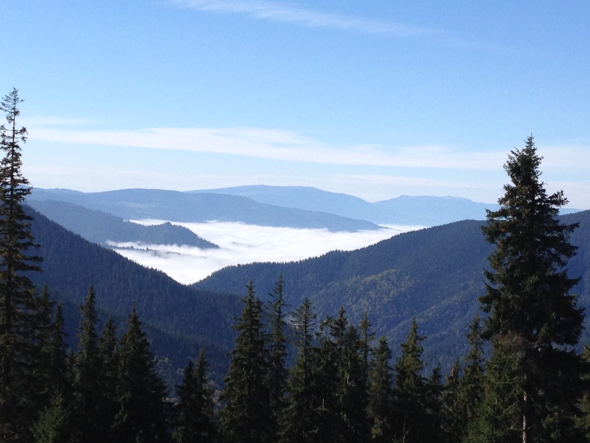 dam13nmatthews's tweet photo. Delighted to return to #Bucovina for #FootballinHeaven5. Trip runs 13 16 March with ✈️from Luton to #Suceava. contact @Emishor if interested. Did Bucovina 18 months ago for #FIH2 and knew I'd like to again - great ⚽️, friends and scenery - a great holiday🙂🍻⚽️🇷🇴 #Romania #FIH5 https://t.co/c2E1aKagqE