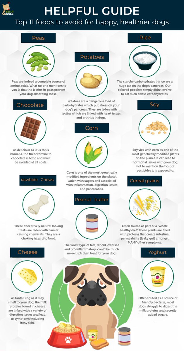 bella and duke treats