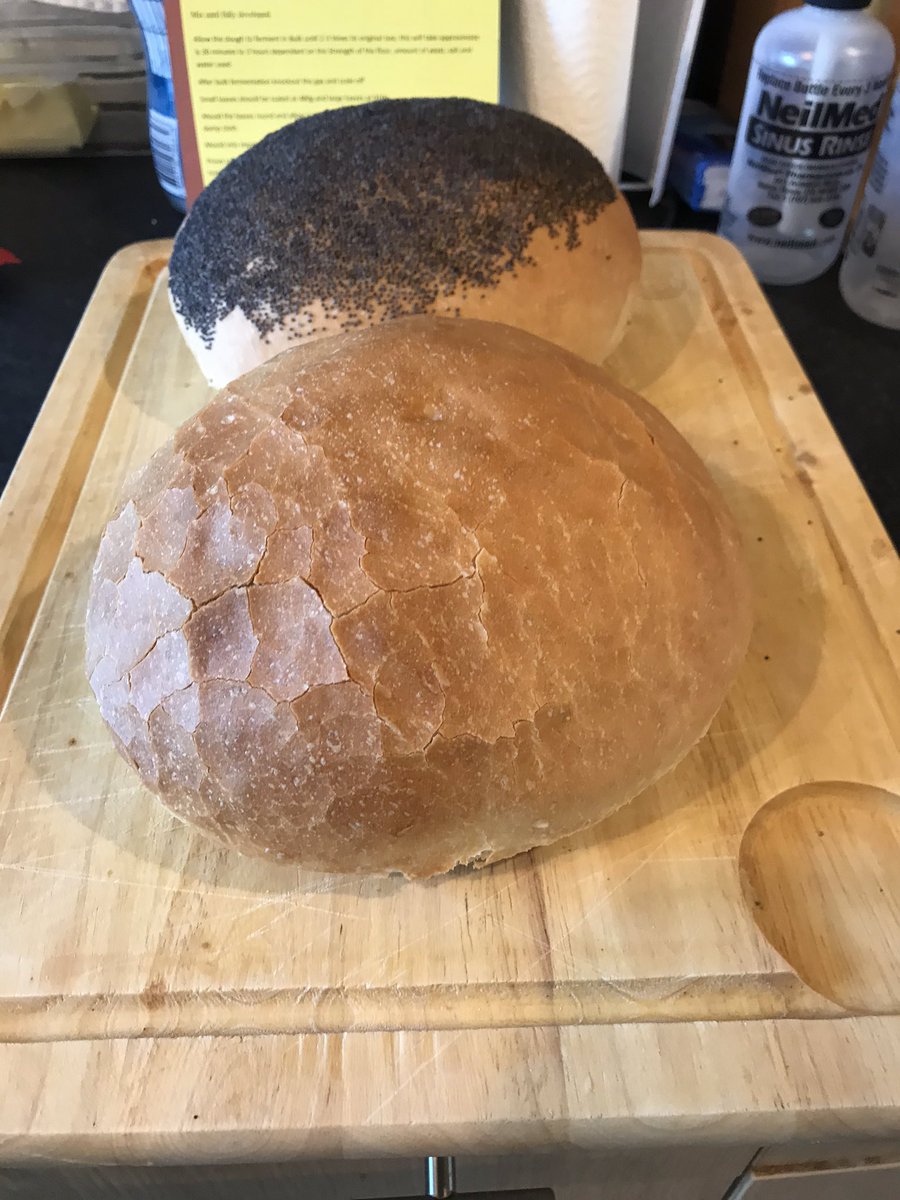 Mark Marcus Starr tweet media