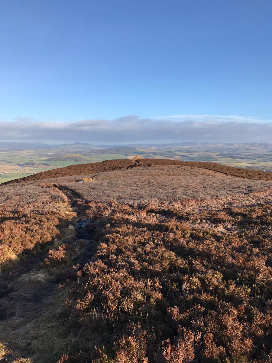 _ALittleHelp's tweet photo. @Ms_Marshall_Art @StAndrewsML Big walk up Tinto Hill yesterday! #activeandy https://t.co/jVuQLHNm8a