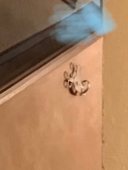 CindyBunn's tweet photo. Ghost hunters, our 11 y/o son snapped these images last night at the Pythian Castle in Springfield, MO. We are very uneducated in paranormal but these images have us wondering. What say you? #pythiancastle #ghosthunt https://t.co/79KuhlugkE
