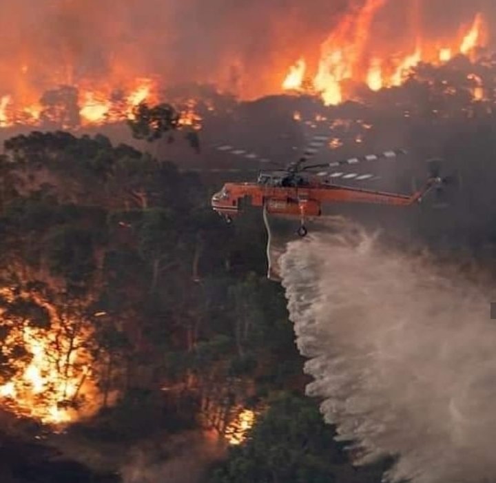 tuqui_tuka's tweet photo. Praying for #AustraliaFires and it's ecosystem. Let's just wish to rain strongly there. 💚 https://t.co/jy9pKCjkzi