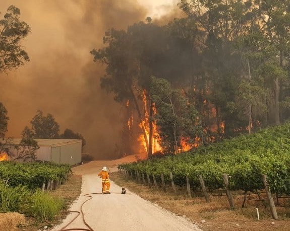 paugasol's tweet photo. More than 12 million acres have burned, 23 people have died, 1,500 homes have been destroyed. Almost half a BILLION animals are estimated to have been killed by the #AustraliaFires.

This crisis affects all of us. If you can, please help and donate: https://t.co/XOFU8zH2C6 https://t.co/MAD90QhJGs