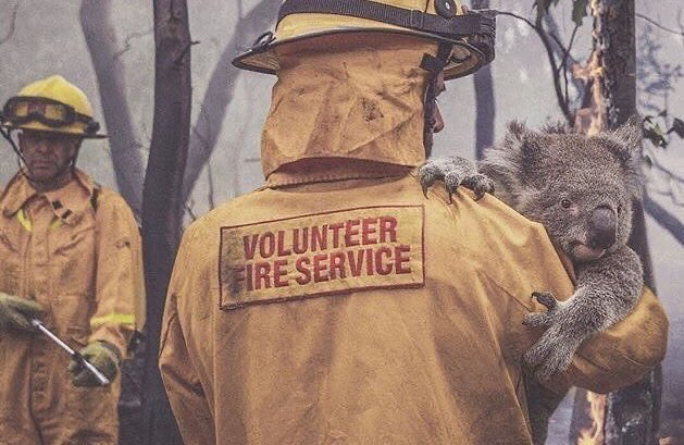 hadj_hassina's tweet photo. L'Australie brule, un véritable désastre pour l'écosystème et le pays.
Plus de 1500 maisons détruites par les flammes , 480 millions animaux tués à cause des flammes, 100.000 personnes évacuées sans parler des fortes chaleurs qui couvrent Sydney. #PrayForAustralia #AustraliaFires https://t.co/yvofMMNzr1