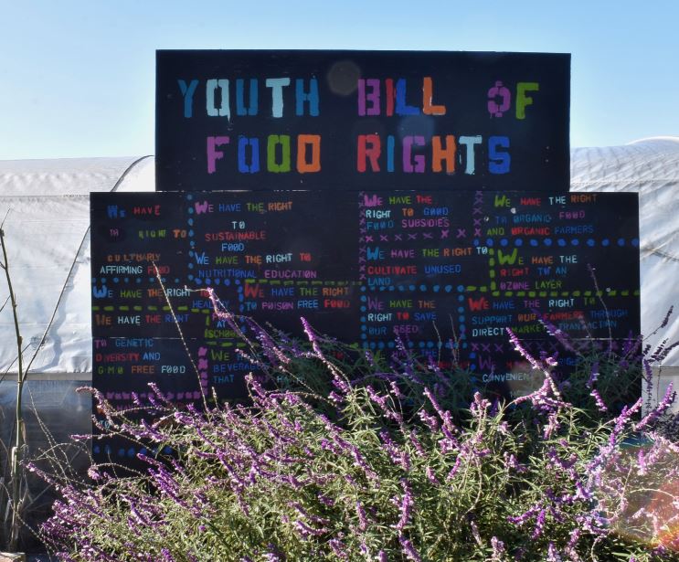 We have the right to sustainable food. We have the right to culturally affirming foods. We have the right to nutritional education. 

UrbanSprouts Youth Bill of Food Rights 
#foodjustice #foodsovereignty 
#communityhealth #nutrition #foodliteracy
#2020