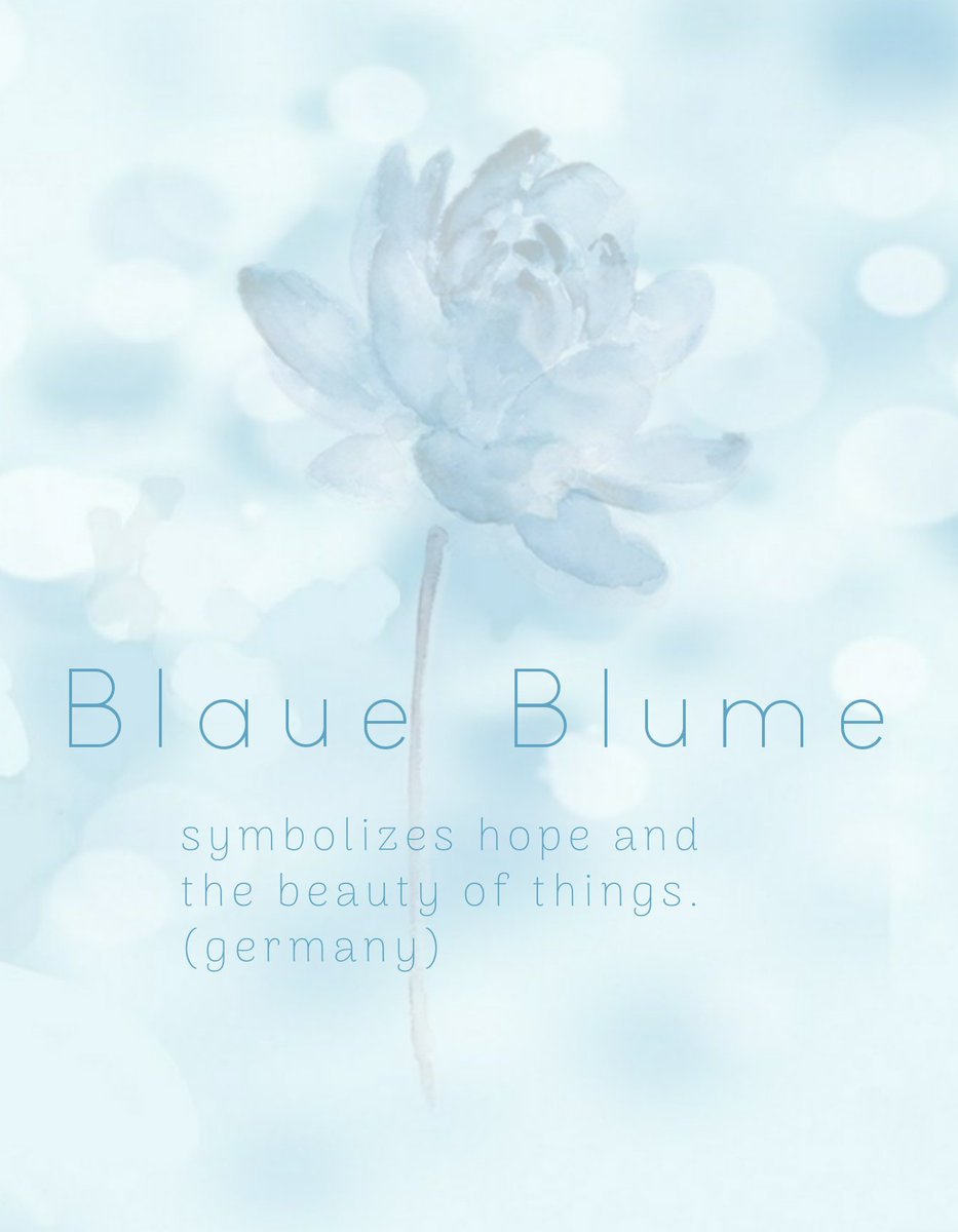 sweettime912's tweet photo. 💙 BLAUE BLUME 💙
SOPE BIRTHDAY PROJECT
      MEANING

#sopebirthdayproject
#BLAUEBLUME_INA https://t.co/LftYbCJedt