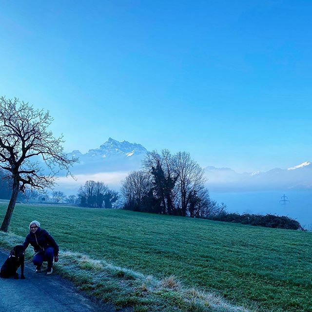 MyOfficeDiet's tweet photo. Misty walk! #perfectwalk #lavieenrose #truf #walk #morningslikethis #mist #husbandandwifeteam #bluesky #winterinswitzerland #hiversuisse #countrysidelife #village https://t.co/zODmNCtMEl https://t.co/R0wynHSw4I