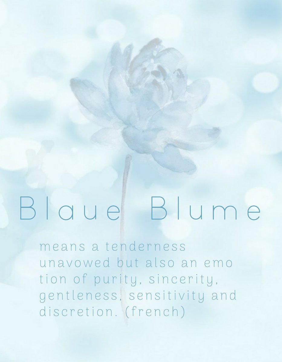 sweettime912's tweet photo. 💙 BLAUE BLUME 💙
SOPE BIRTHDAY PROJECT
      MEANING

#sopebirthdayproject
#BLAUEBLUME_INA https://t.co/LftYbCJedt