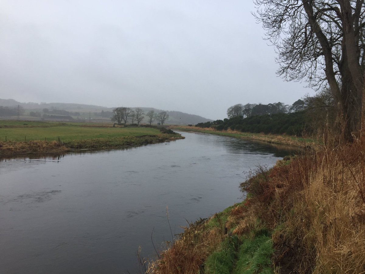 AberdeenAngling's tweet photo. Out and about on our Lower Fintray beat of the #RiverDon this morning. #ADAA #Donside #AberdeenAngling https://t.co/hIVZqzc7lR