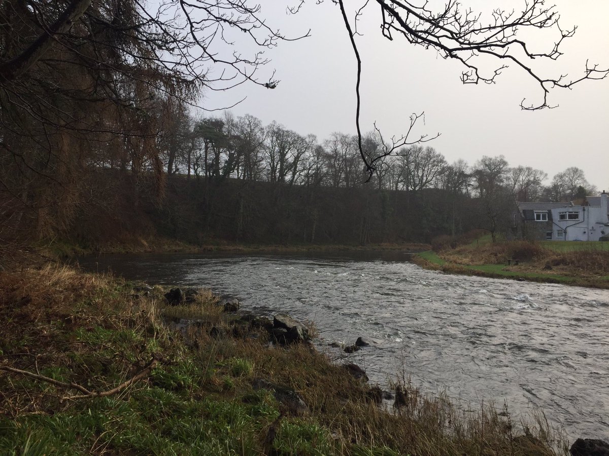 AberdeenAngling's tweet photo. Out and about on our Lower Fintray beat of the #RiverDon this morning. #ADAA #Donside #AberdeenAngling https://t.co/hIVZqzc7lR