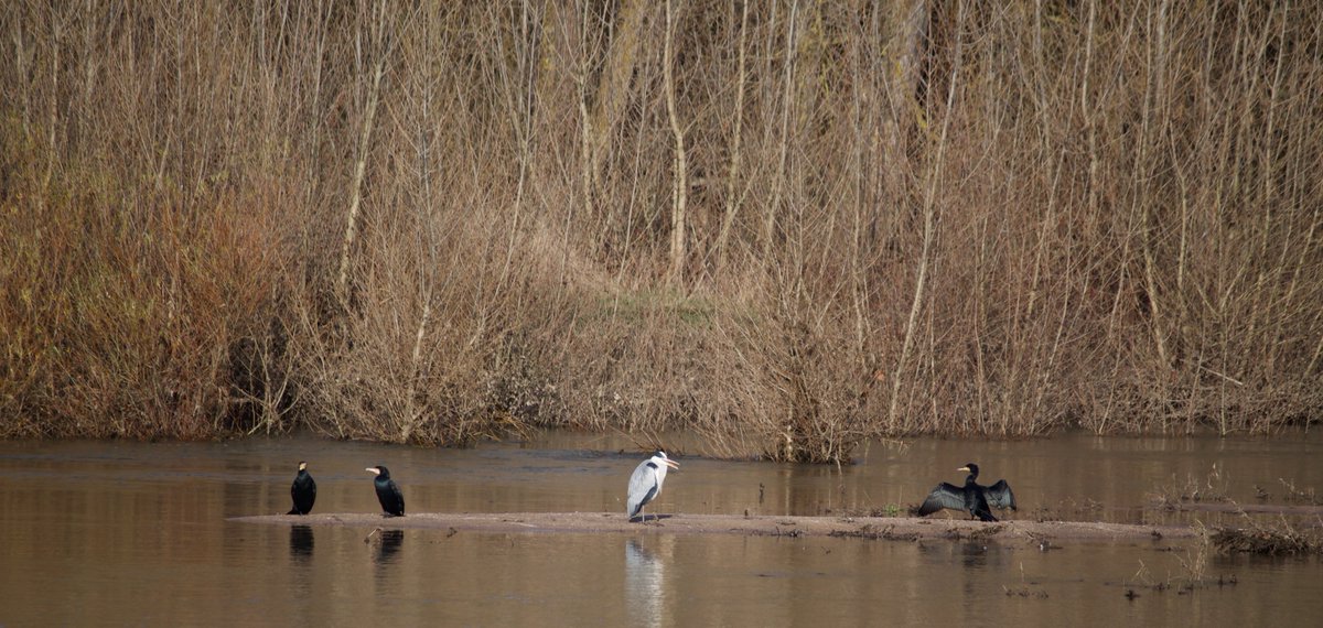 Une nouvelle année commence sur les bords de Loire 
#Loireàvélo