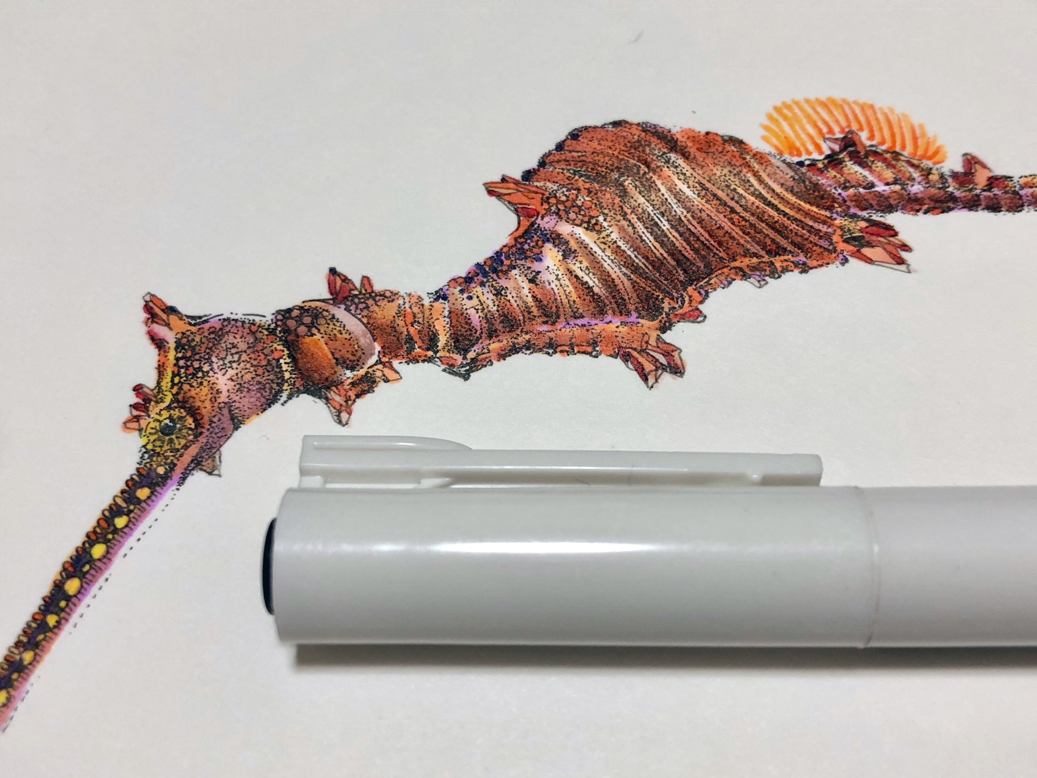 Twitter 上的 Kurea Ruby Seadragon ルビーシードラゴン 15年に発見されたシードラゴン系第3種類 目の子です 謎が多いですが名前の通りルビーに擬態 というかルビーを産み出していたら面白いなあ T Co Rlatdygic8 Twitter Twitter 上的 Kurea Ruby Seadragon ルビーシードラゴン 15年に発見されたシードラゴン系第3種類 目の子です 謎が多いですが名前の通りルビーに擬態 というかルビーを産み出していたら面白いなあ T Co Rlatdygic8 Twitter