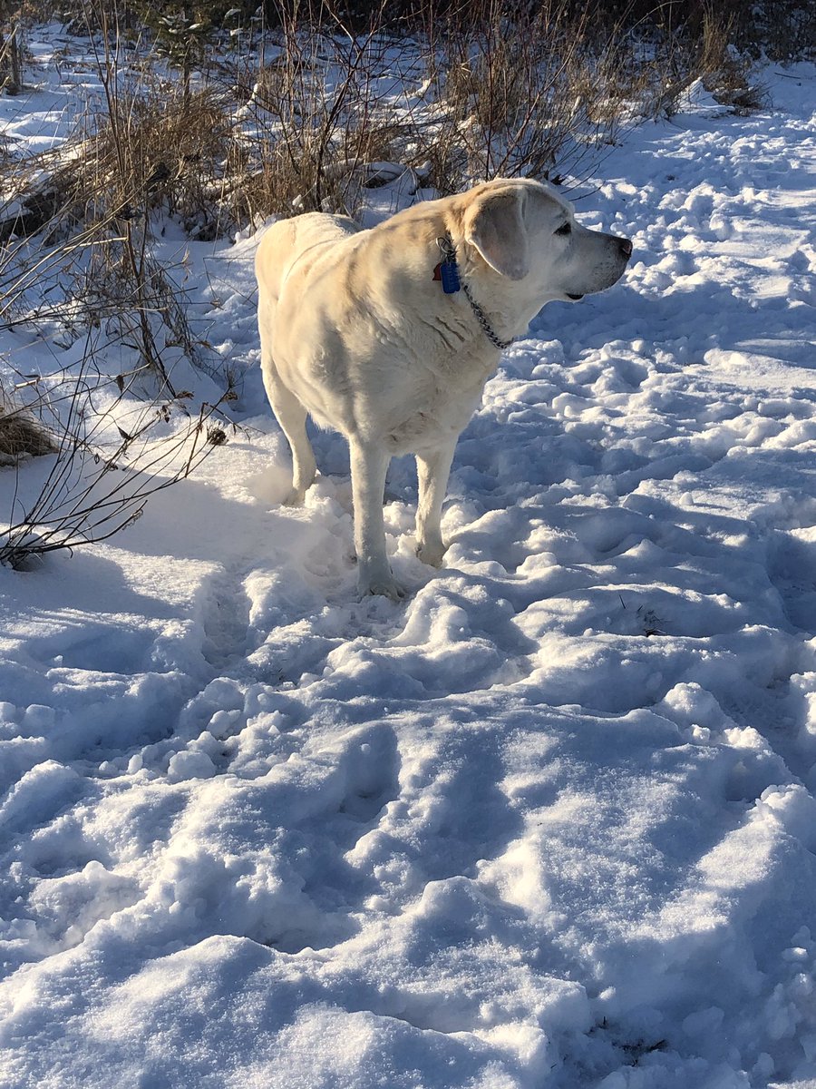 Daddy KB tweet media