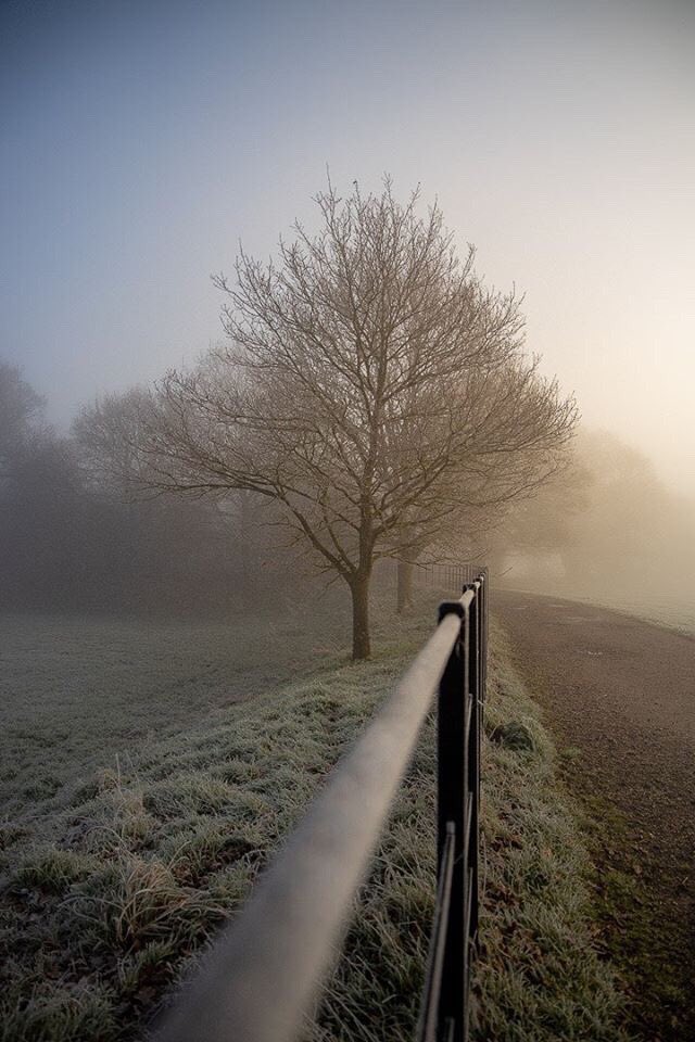 Thank you Dale Upton Photography for sharing these gorgeous photos of Bodiam Castle on a frosty morning.