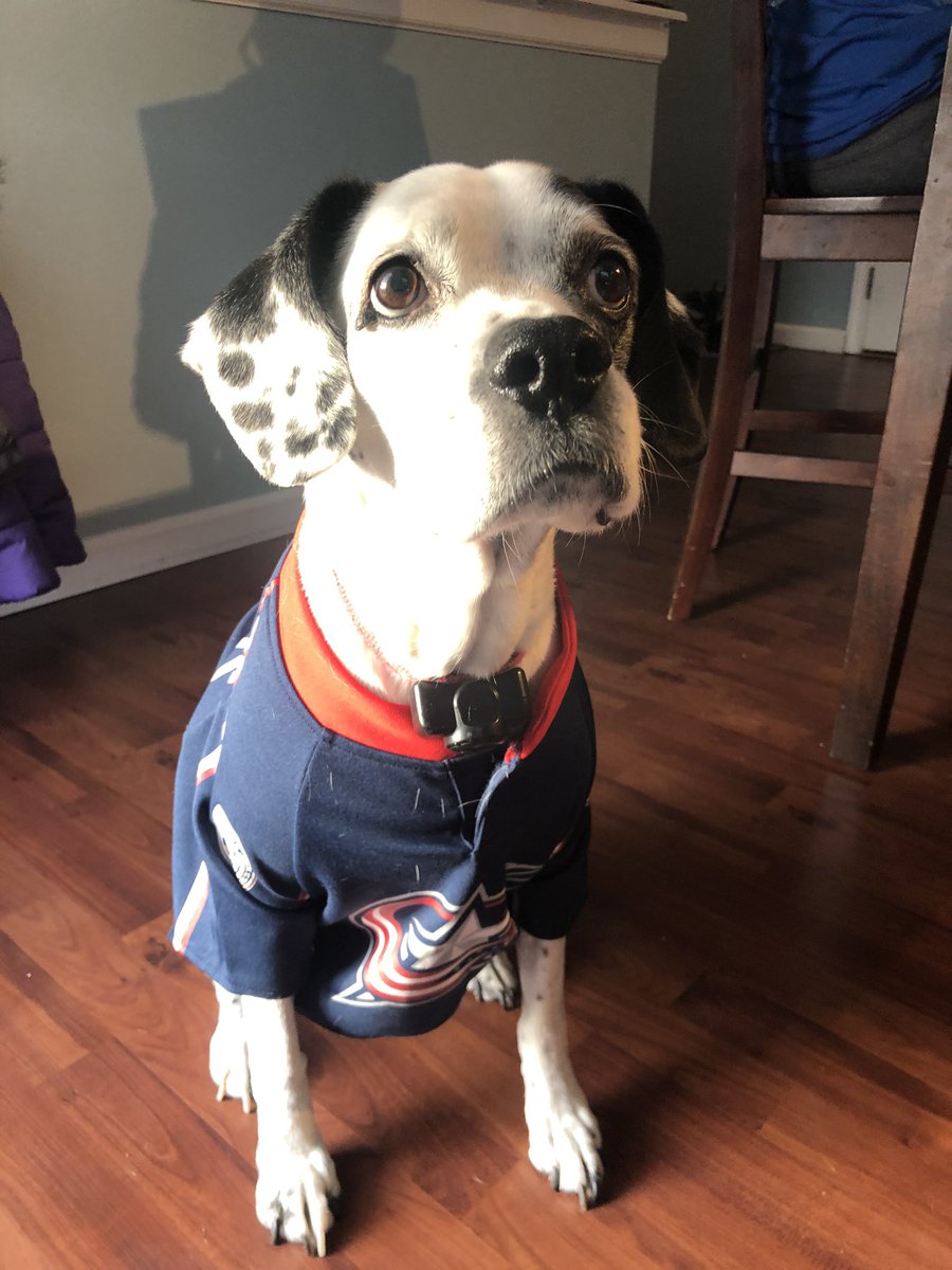 tdeniston's tweet photo. Joi say “Go Jackets!” #cbj https://t.co/orxHA3DW3k