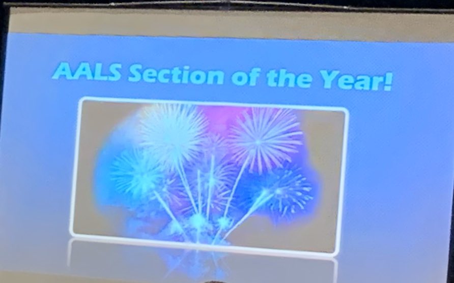 Congratulations to the LWRR section for winning AALS section of the year! Amazing accomplishment that is much attributable to the incomparable @wendyadeleh #AALS2020 #AALSLWRR #forceofnature