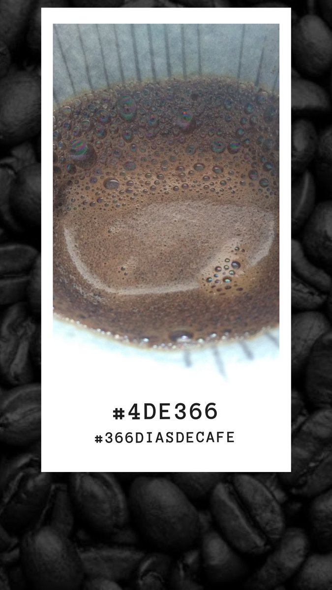 EuAMariRibeiro's tweet photo. #366diadecafe #4de366
Um café bem coado é um bom café https://t.co/WmQVG9HI51