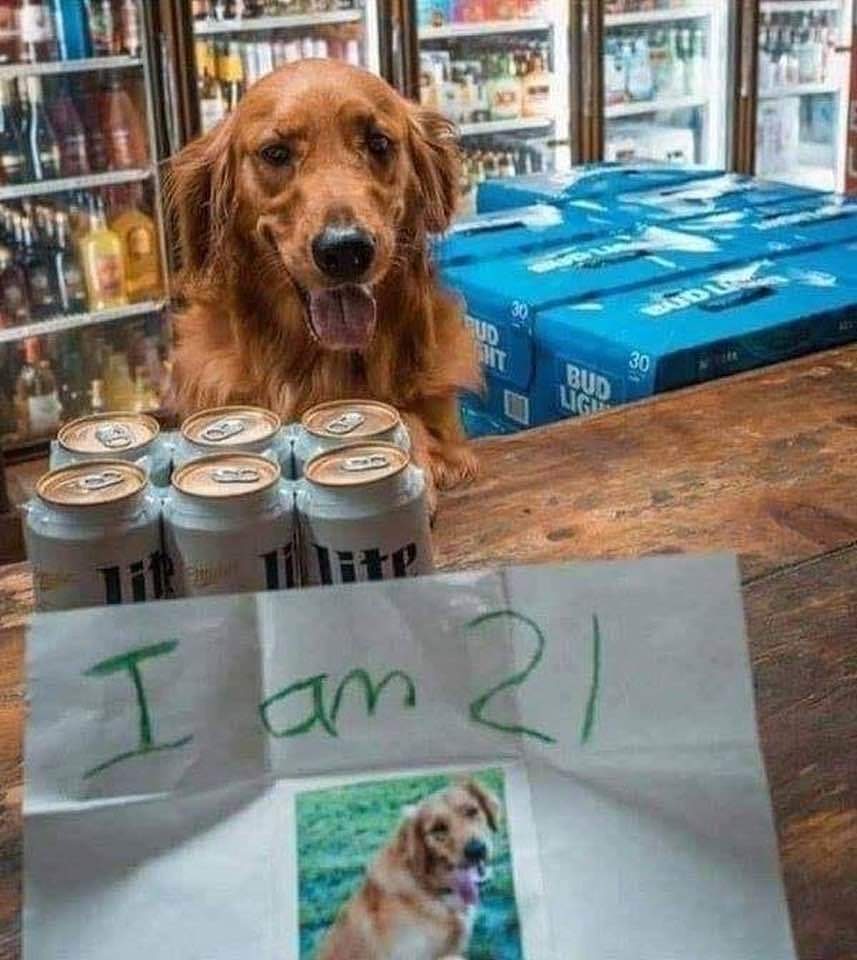 Of course 👍😂😂