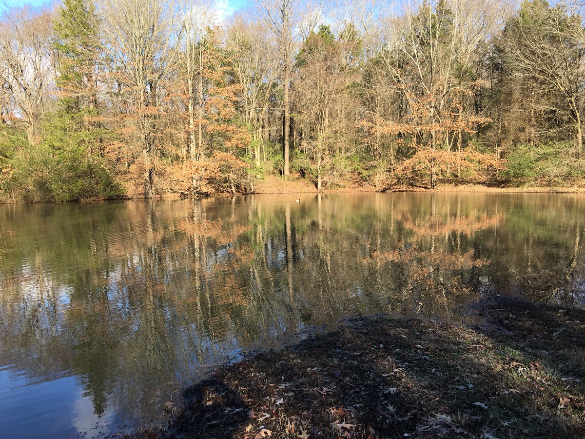 GeorgiaTouliat's tweet image. Me and Governor kind of day! #TitanUp #BeatPats #NFLWildCard