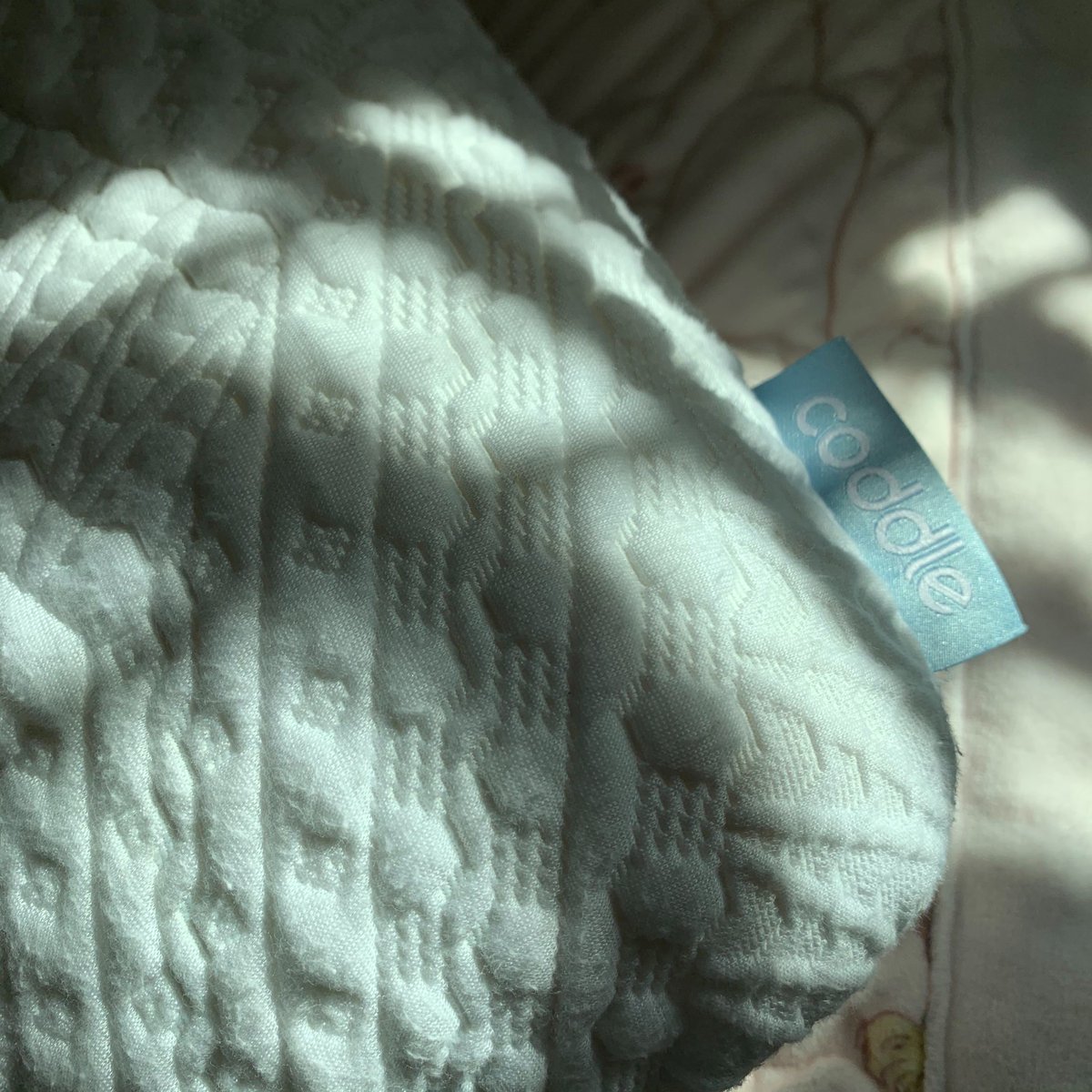 Sweet dreams are made of this 💤