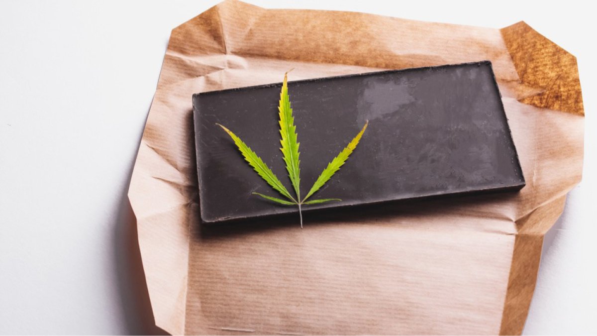 _Truffle_Report's tweet photo. Follow as we take you through the steps of preparing canna-infused chocolate bars. You will find the experience quite exhilarating #edibles #puffdigital
Read it here: https://t.co/gS2n0S5Oqp https://t.co/dw19VI9HIb