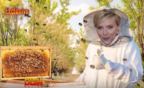 role_bee's tweet image. Fun Fact

Avenger's star Scarlett Johansson is a bee keeper!

She received a beehive from Samuel L Jackson after they talked about the impact of colony collapse and how important it is to help save the planet.

Learn more at BeeRole.Com

#bees #avengers #honey