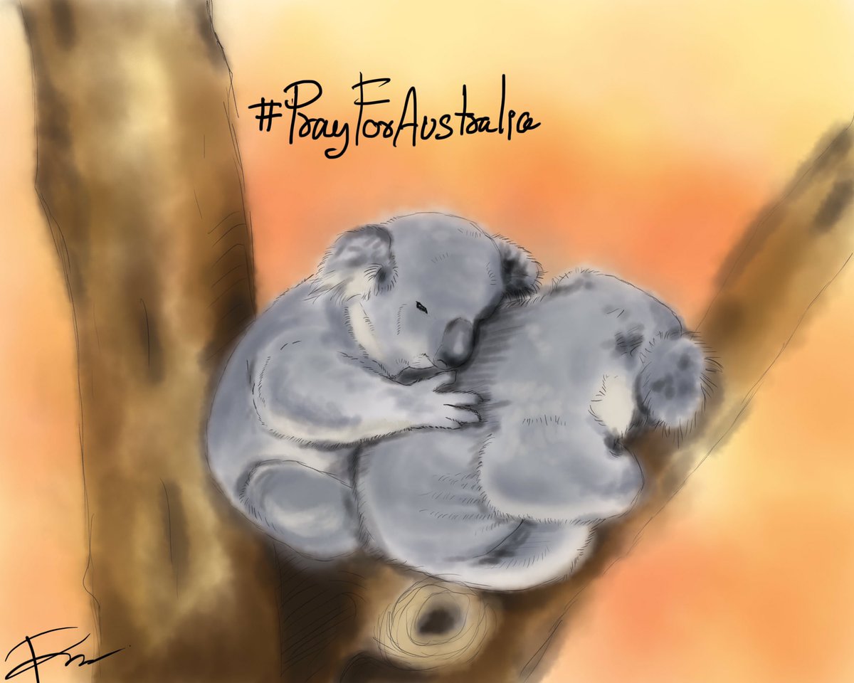 ChocoBStudio's tweet photo. 😭สถานการณ์ ไฟป่าในประเทศออสเตรเลียรุนแรงมากๆ สงสารเจ้าโคอะล่าและสัตว์ป่าทุกตัวมากๆ ขอเป็นกำลังใจให้ชาวออสซี่ทุกคนนะคะ 
#PrayForAustralia #AustraliaOnFire #AustraliaBushfires #bushfires #ClimateEmergency https://t.co/vVDfLSIzNn