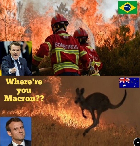VascoNordeste's tweet photo. @EmmanuelMacron #Macron #Savetheamazon #AmazonRainForest #GretaThurnberg #Australianbushfires #MacronLies https://t.co/iNxmyMRGGx