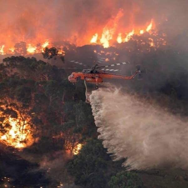 biloutedecon's tweet photo. En Australie c’est catastrophique faut que les pays du monde agissent https://t.co/kNPOOQmpjG