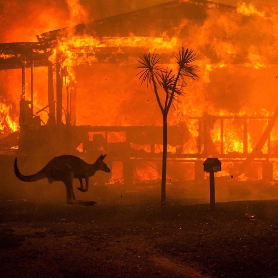 biloutedecon's tweet photo. En Australie c’est catastrophique faut que les pays du monde agissent https://t.co/kNPOOQmpjG
