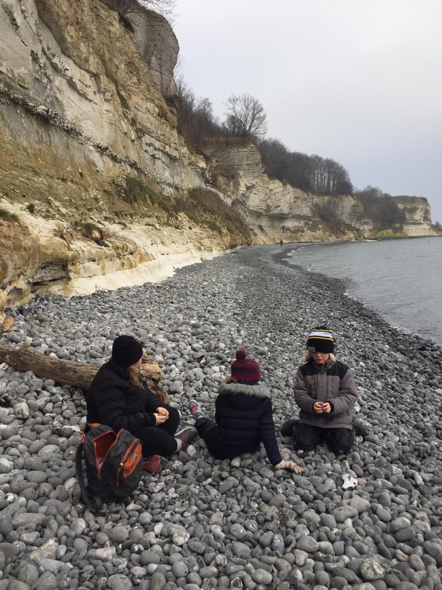 We went to <a href="/denmarkdotdk/">Denmark.dk</a> on a whim thanks to my cousin who works for Air Canada!! We explored the sites in Copenhagen, Helsinore, Stevns Klint, Koge, Roskilde and more and had an amazing adventure!! #NightBeforeDecision #WeRockedIt #WhereToNext!?