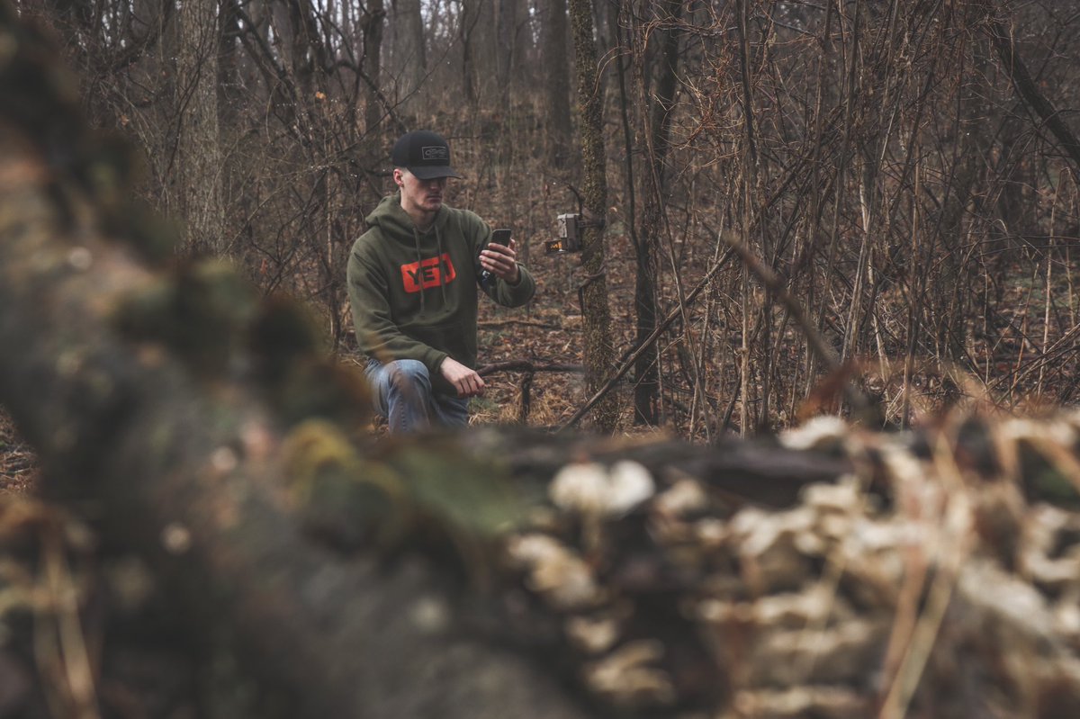 Looking for survivors 🦌