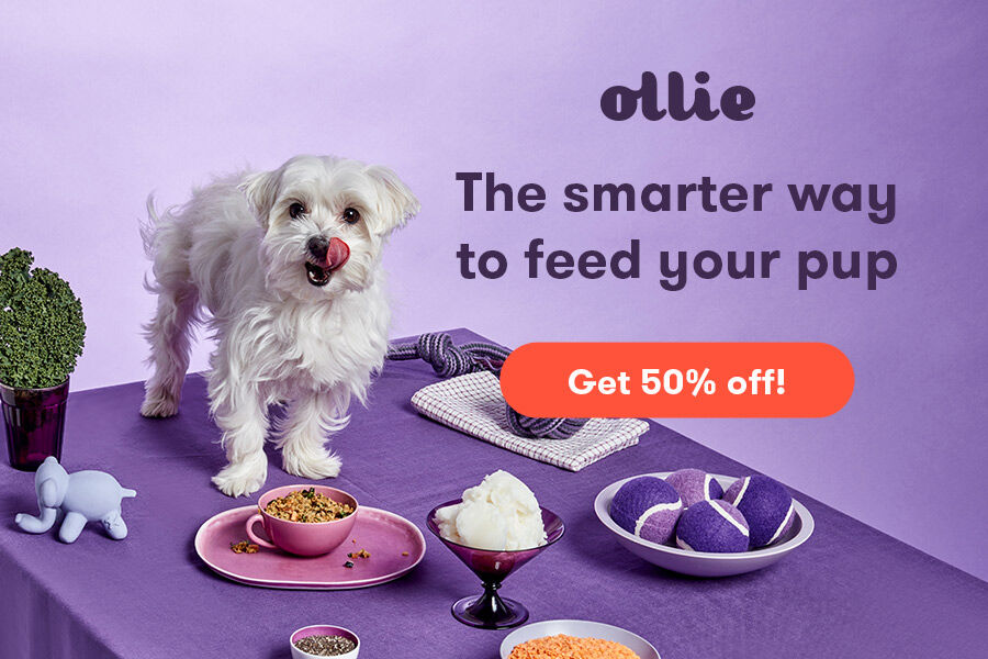 The smarter way to feed your pup
Freshly cooked, customized and delivered.
bit.ly/2QpnWye

#dogfood #foodsubscription #dogfoodplan #myollie