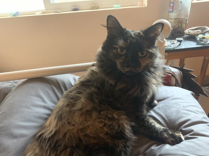 @sleepynarcos https://t.co/5JOxRjw8N7<a class="tags" target="_blank" title="On Twitter" href="/?out=eyJ0eXAiOiJKV1QiLCJhbGciOiJIUzUxMiJ9.eyJpYXQiOjE3MjE2MTU5NDgsImlzcyI6InR3cG9ybnN0YXJzLmNvbSIsIm5iZiI6MTcyMTYxNTk0OCwiZXhwIjoxNzUzMTUxOTQ4LCJyZWRpcmVjdF91cmwiOiJodHRwczovL3R3aXR0ZXIuY29tL3NsZWVweW5hcmNvcyJ9.mdgk1K7OcnFIW8zuipdtWB0jEAa173j-CXJXg1vhRXm6cc1Rf30Ge8D28pFdeM9yb4WWZj756WnZ9o_lFCwhLQ">@sleepynarcos</a>