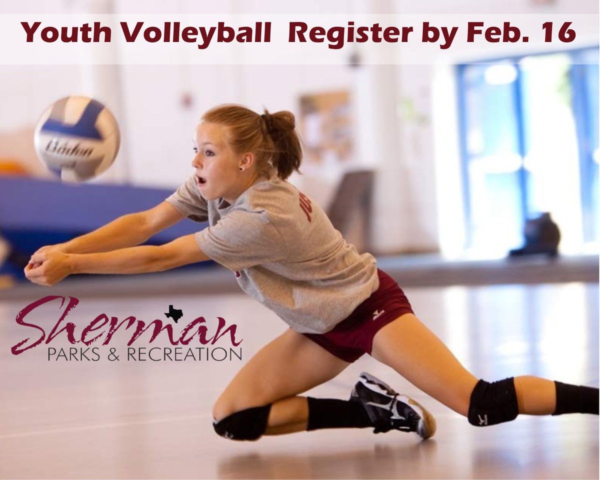 ShermanParksRec's tweet photo. Make Bearcat Volleyball great! Start teaching and training our girls early. Register today for youth volleyball! #volleyball #shermantx https://t.co/ZzDCXrCqzF