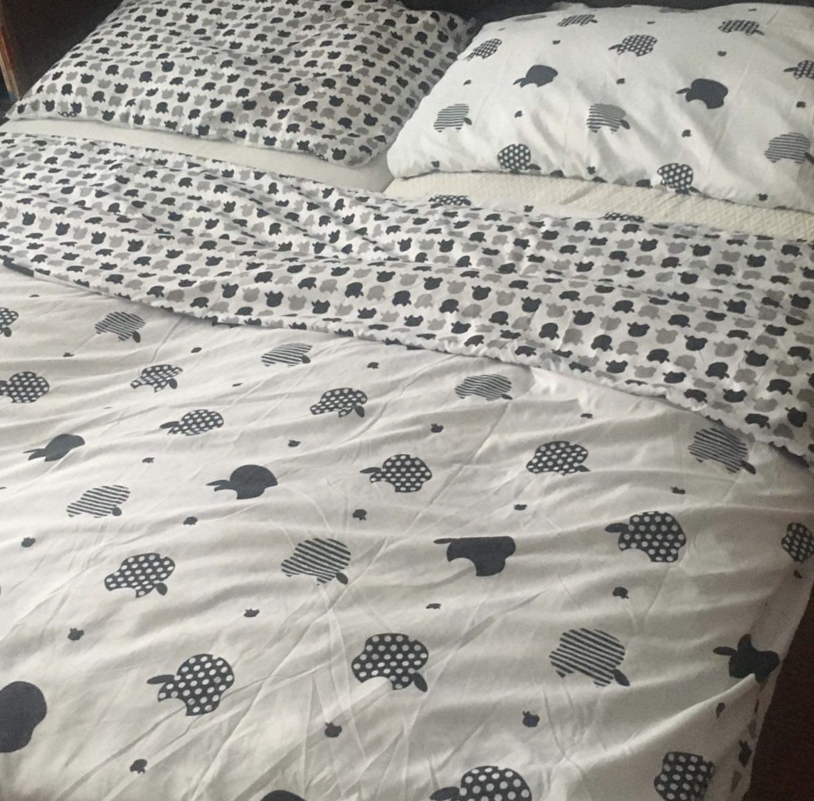 David Salcer tweet media