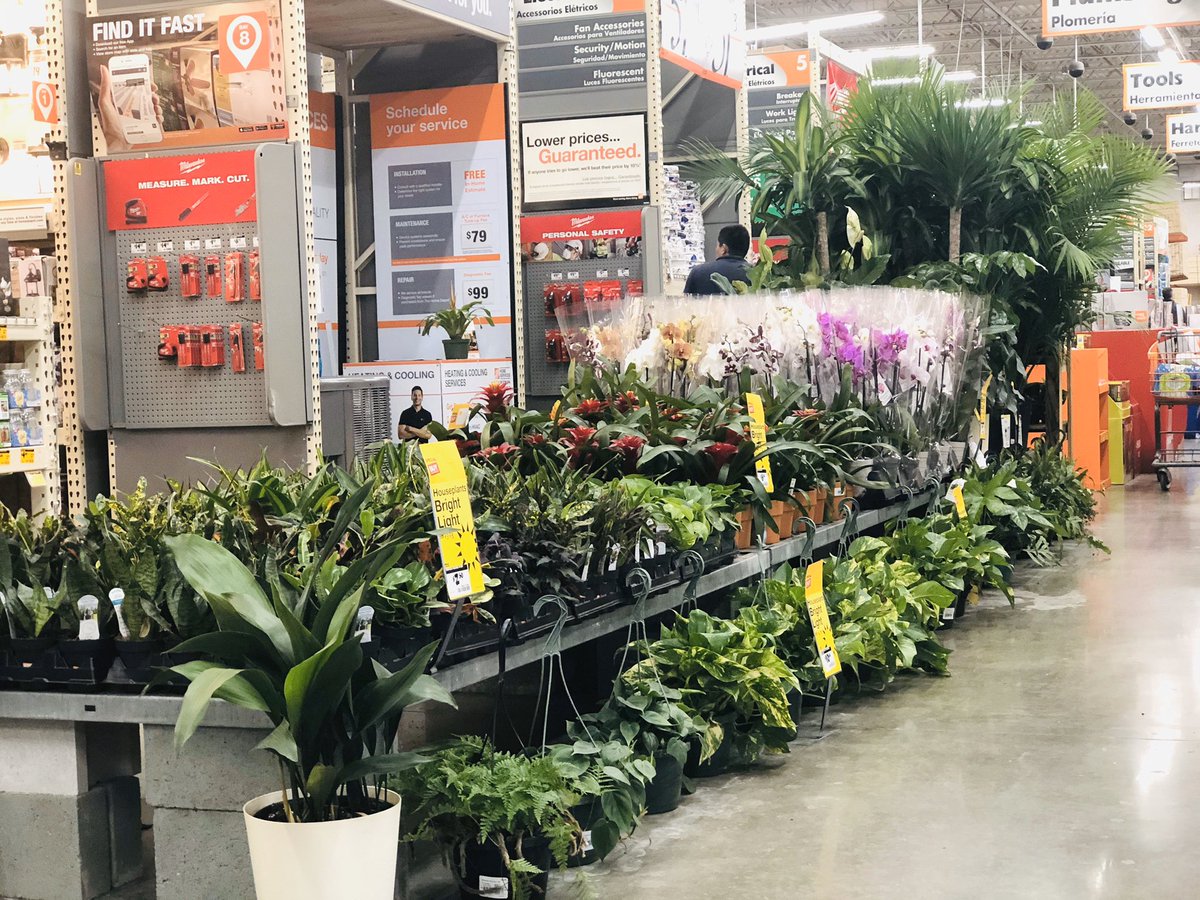 Thank You <a href="/BellNursery/">Bell Nursery</a> for the Great Looking Product!! Really Looking Forward To The Partnership. <a href="/Pat_Fischetti/">Patrick Fischetti</a> <a href="/WebbfWebb/">frank webb</a> <a href="/ErinWatsonHDHR/">Erin Watson</a> <a href="/DavidBe80528419/">David Benoit</a> <a href="/AdamBinTHD/">Adam Bendickson</a> <a href="/Mickel8913/">Aimee Mickel</a> <a href="/Joshua_THD/">Joshua Glenn</a>